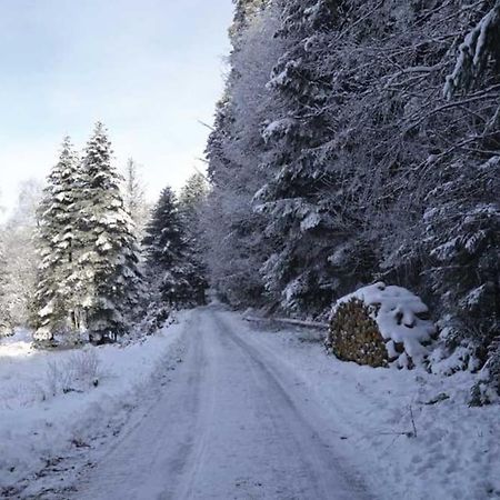 Gite Hansel De La Ferme Du Schneeberg Wangenbourg-Engenthal Exterior photo