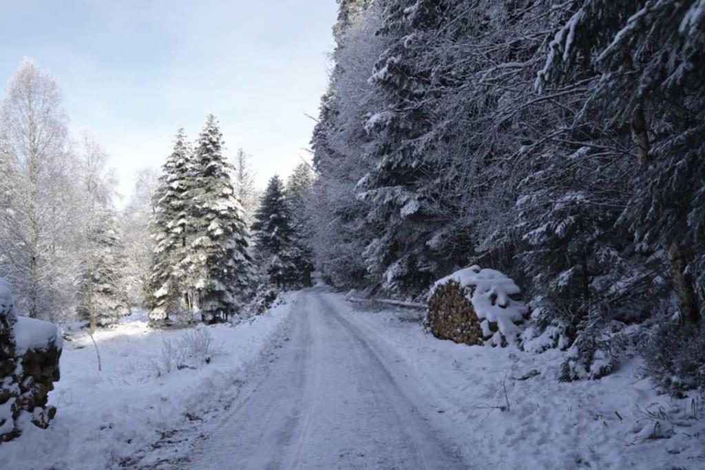 Gite Hansel De La Ferme Du Schneeberg Wangenbourg-Engenthal Exterior photo